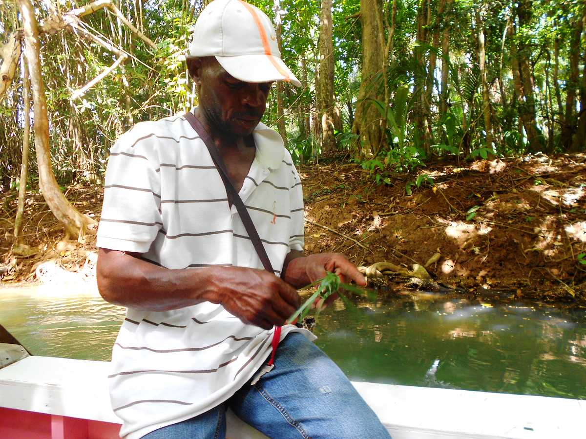 Indian River rzeka na wyspie Dominika. Indian River rzeka na wyspie Dominika.