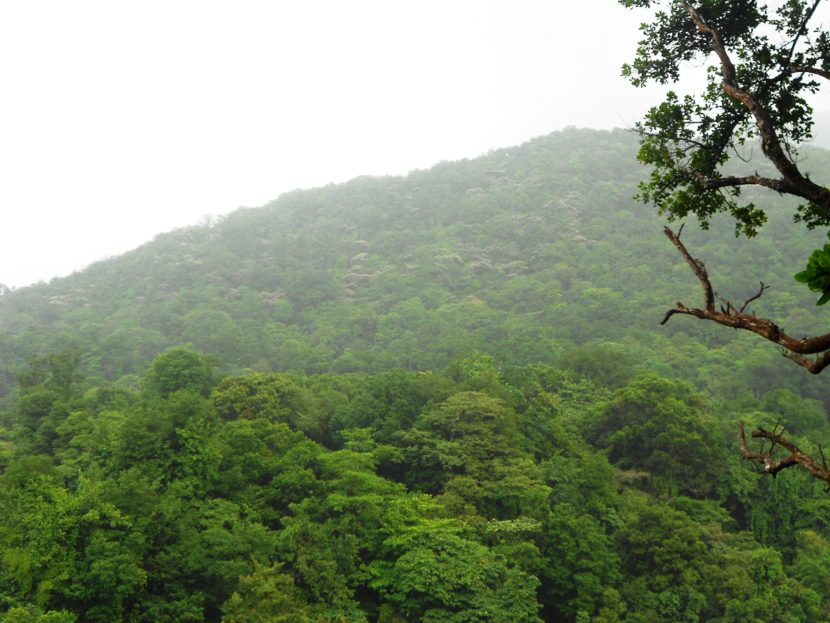 Wyspa Dominika. Wyspa Dominika.