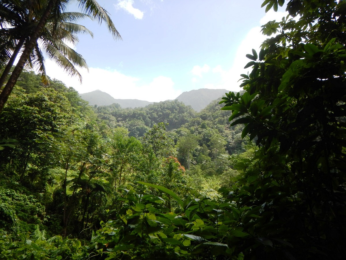 Commonwealth of Dominica.