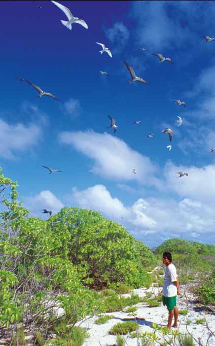 Wyspa Cook. Wyspa Cook.