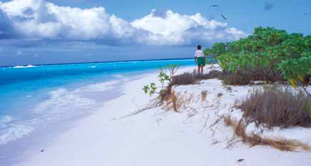 Wyspa Cook. Wyspa Cook.