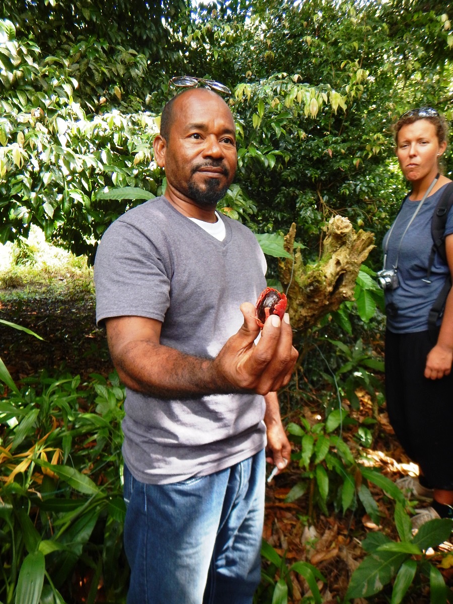 Owoce na wyspie Dominika.