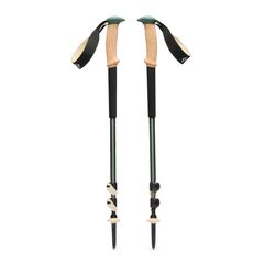 Black Diamond - kije trekkingowe TRAIL CORK TREKKING POLES Laurel Green