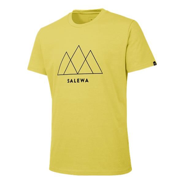 T-shirt męski OVERLAY DRY TEE Salewa yellow